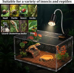 13 Pcs Mini Reptile Terrarium Starter Kits, 12X8X6” Insect Amphibians Reptile T