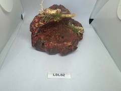 Magnetic Rock Ledges For Terrariums And Cages (Limited Edition) Small LAVA