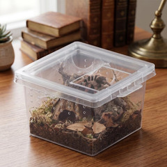 10 Pcs Insect Spider Terrariums Breeding Box Hatching Container Small Reptile