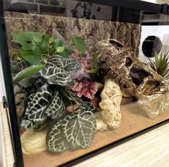 Reptile Plants for Terrarium,Amphibian Habitat Decor,Artificial Plants for Ge…