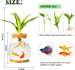 Desktop Fish Bowl Clear Glass Small Tank with Wood Lid and Bamboo Stand…