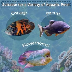 Crickets Freeze Dried for Large Fish Reptiles Turtles Frogs Tortoises Rodents