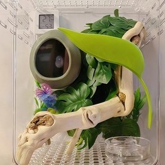 1 Pack Jumping Spider Nest Spider Hide Tree Frog Habitat Accessories Hermit C…