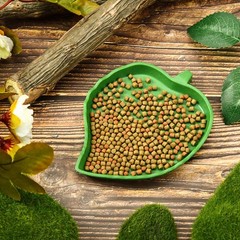 2 Pcs Green Leaf Reptile Food Water Bowl Plates