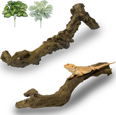 Reptile Branch Decor 2 Pcs Snake Climbing Wood Branches Lizard Habitat Decoratio