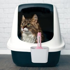 Cat Litter Scoop Holder Compact Plastic Stand with Rounded Corners for Safe P…