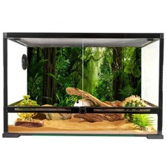 YongFoto Reptile Tank Terrarium Background 48×20 inch Tropical Rainforest Jun…