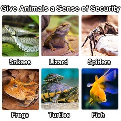 Hermit Crab Climbing Steps and Hideout Resin Simulation Rock Reptile Hides an…