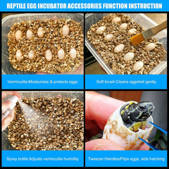 16 Grids Reptile Egg Incubator Box Turtle Lizard Gecko Snake Hatching Container