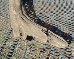 DRIFTWOOD natural Terrarium Taxidermy Art/craft Reptile beach home/garden Decor