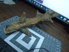 Natural Lightning Struck Tree Stump for Reptile Enclosure/Tank/Aquarium/Atrium