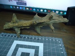 Natural Lightning Struck Tree Stump for Reptile Enclosure/Tank/Aquarium/Atrium