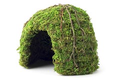 05366 6 Inch Galapagos Green Mossy Dome Hide Reptile Terrarium Shelter Decor