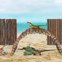 2PCS Reptile Hideout Hermit Crab Bendable Bridge, Wooden Hermit Crab Hideout …