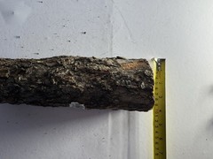 (RGB4) Natural Cork Bark Tube Log 10-11in Reptile Terrarium Hide Snake Gecko #6
