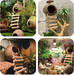 10PCS Crested Gecko Tank Accessories Set – Natural Double Coconut Shell with Lad