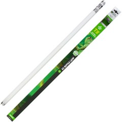Reptile Systems D3 25 Watt T8 Reptile Lamp For Forest Species 5% UVB 30″ 117033