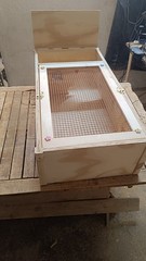 Turtle House