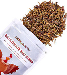 NEW 4Lbs High Protein Dried Insect Trail Mix Natural Treat for Chickens Reptiles