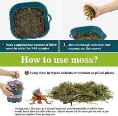 Sphagnum Moss for Reptiles -Terrarium Moss for Reptiles Peat Moss (15.8, Ounces)