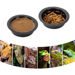Magnetic Reptile Ledge, Acrylic Gecko Feeding Ledge with 6PCS Cups, Reptile F…