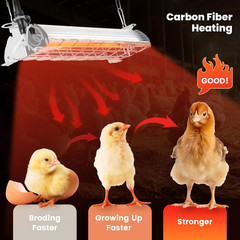 Large 400W Heat Lamp for 60 Chicks, Chicken Coop Heater with Carbon Fiber Bulb C