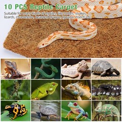 Reptile Carpet 12×12 Inch 100% Natural Coconut Fiber Mat – Ideal for Bearded