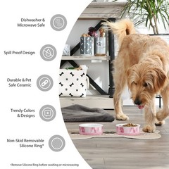 Bone Dry Pet Bowl Collection Ceramic Set, Small, Marble, 2 Count White