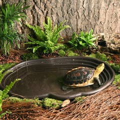 Extra Large Reptile Bathing Pool Reptile Feeding Dish Water Bowl with Ramp Aq…