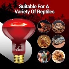 WACOOL 4 Pack Reptile Heat Lamp Bulbs,100W Basking Spot Light for Reptiles & …
