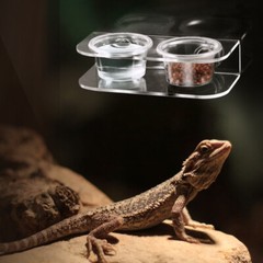 Suction Cup Feeding Bowl Reptile Gecko Ledge Magnetic Dish & Water