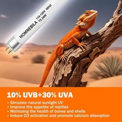 UVB Light for Bearded Dragon, Lizards