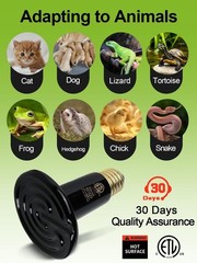 2-Pack 100W Infrared Ceramic Heat Lamps with Digital Thermometers for Reptiles