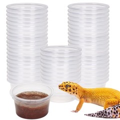 Gecko Feeder Ledge Cup 1oz Plastic Bowls 50 Pack Reptile Food Feeder Water Di…