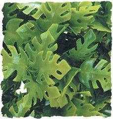 ZOO MED NATURALISTIC BUSH PLANT – AMAZON PHYLLO – LARGE – BU-31