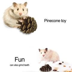 Pet Hammock Hamster Hanging Toy, 5 Piece Set House Hanging Bed Cage Toys for …