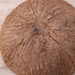 Coconut Hide for Crested Gecko Natural Reptile Hideouts Hut Cave Habitat