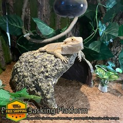 Tfwadmx Extra Large Brown Reptile Hide