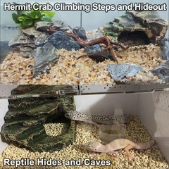 Hermit Crab Climbing Steps and Hideout Resin Simulation Rock Reptile Hides an…
