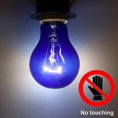 2 Pack AIICIOO 60W UVA Daytime Reptile Bulb Heating Lamp E26 – Blue
