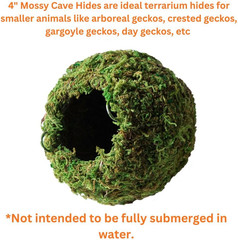 Galápagos (05346) Mossy Cave Hide, 4″, Green