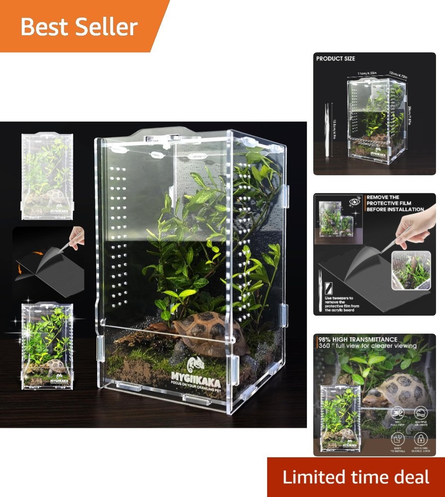 Multi-Species Acrylic Terrarium – Spider, Snail & Frog Home, 160 Cubic Inches