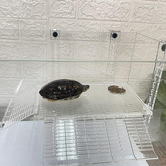 Hanging Turtle Basking Platform, Adjustable Acrylic Aquatic Reptile Turtle Tank
