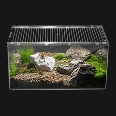 Large Escape Proof Reptile Tank with Magnetic Lid | Easy Clean Tarantula & Frog