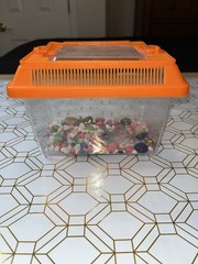 Rectangular Kritter Keeper Mini w/Orange Vented Lid – Pet Holding Habitat -7x4x5