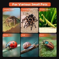 Jumping Spider Enclosure Hammock Kit,Ventilation Praying Mantis Habitat