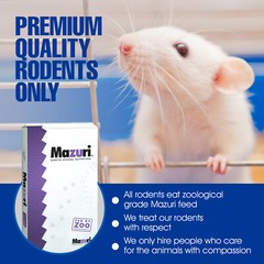 40 Frozen Feeder Mice Hoppers Mice -FREE S&H -MiceDirect! Rodents Reptiles Snake