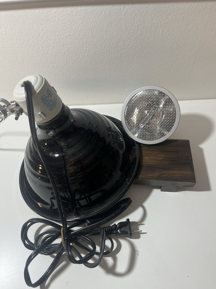 Fluker’s 8.5 in Ceramic Clamp Lamp Reptile Heat Lamp with lightbulb