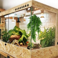 Reptile Plants Hanging Fake Vines Boston Climbing Terrarium Plant with Suctio…
