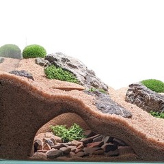 Aquarium Terrarium Natural Viewing Cave Fish Reptiles Gecko Hide Sand